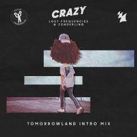 Lost Frequencies & Zonderling - Crazy [Tomorrowland Intro Mix]