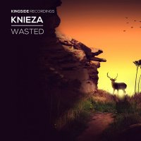 Knieza - Wasted