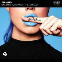 Tujamo - Say What You Wanna (Mizmo Remix)